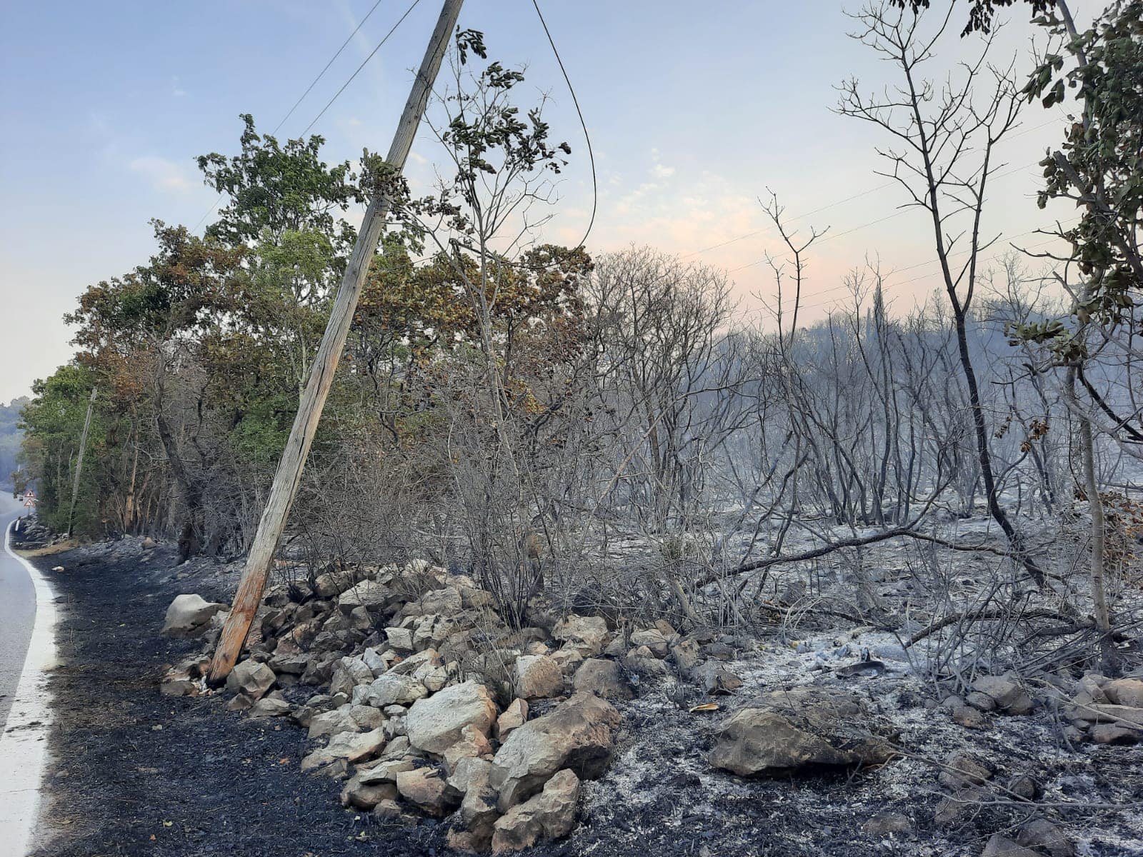 Immagine per Doberdò del Lago, partita la conta dei danni dopo gli incendi sul Carso